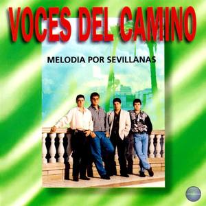 Voces del Camino