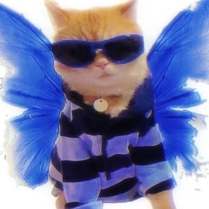 Autumn rains 秋雨资料,Autumn rains 秋雨最新歌曲,Autumn rains 秋雨MV视频,Autumn rains 秋雨音乐专辑,Autumn rains 秋雨好听的歌