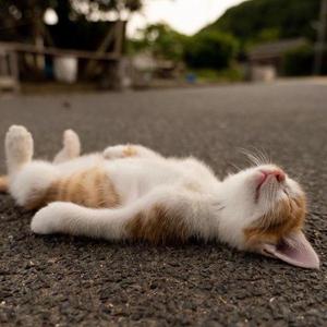 K.Y资料,K.Y最新歌曲,K.YMV视频,K.Y音乐专辑,K.Y好听的歌