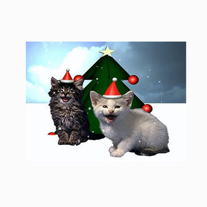 Jingle Cats