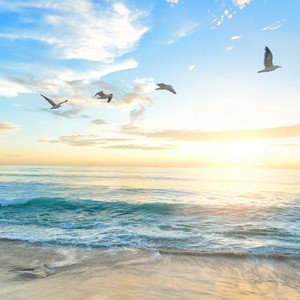 Piano Peace资料,Piano Peace最新歌曲,Piano PeaceMV视频,Piano Peace音乐专辑,Piano Peace好听的歌