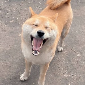 王知进资料,王知进最新歌曲,王知进MV视频,王知进音乐专辑,王知进好听的歌