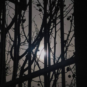 哈哈Mr.瑞资料,哈哈Mr.瑞最新歌曲,哈哈Mr.瑞MV视频,哈哈Mr.瑞音乐专辑,哈哈Mr.瑞好听的歌