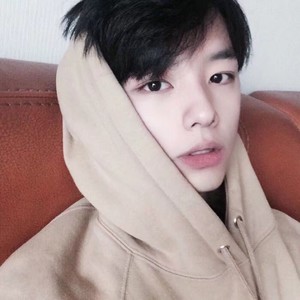 芦文文资料,芦文文最新歌曲,芦文文MV视频,芦文文音乐专辑,芦文文好听的歌