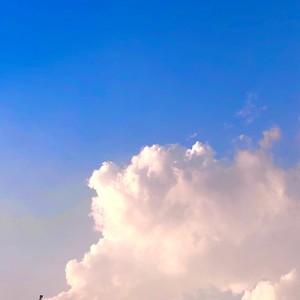 L·T资料,L·T最新歌曲,L·TMV视频,L·T音乐专辑,L·T好听的歌