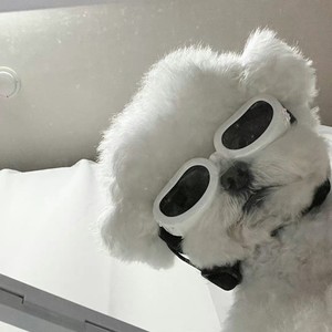 张yeah资料,张yeah最新歌曲,张yeahMV视频,张yeah音乐专辑,张yeah好听的歌