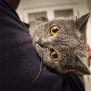 Янг Ксу.资料,Янг Ксу.最新歌曲,Янг Ксу.MV视频,Янг Ксу.音乐专辑,Янг Ксу.好听的歌