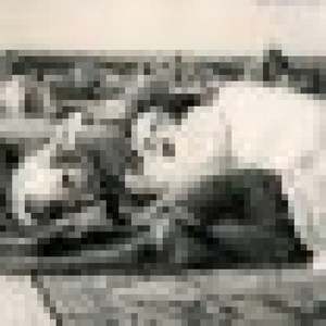 Jim Sullivan资料,Jim Sullivan最新歌曲,Jim SullivanMV视频,Jim Sullivan音乐专辑,Jim Sullivan好听的歌