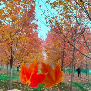 九六张叔资料,九六张叔最新歌曲,九六张叔MV视频,九六张叔音乐专辑,九六张叔好听的歌