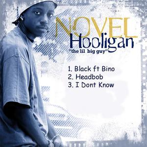 Novel Hooligan