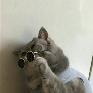 东木木 - 忍住 (合唱版|DJ Vega曜版)