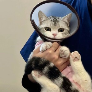 xwn资料,xwn最新歌曲,xwnMV视频,xwn音乐专辑,xwn好听的歌