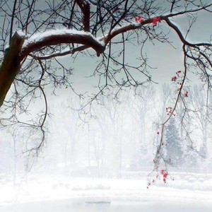 执梦资料,执梦最新歌曲,执梦MV视频,执梦音乐专辑,执梦好听的歌