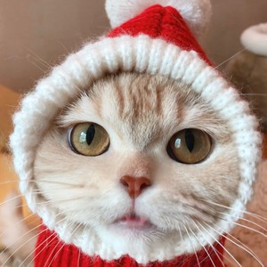 May小梅梅资料,May小梅梅最新歌曲,May小梅梅MV视频,May小梅梅音乐专辑,May小梅梅好听的歌