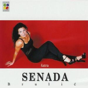 Senada Brulic