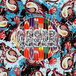 QESIR资料,QESIR最新歌曲,QESIRMV视频,QESIR音乐专辑,QESIR好听的歌