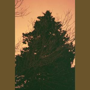 Hijo De La Tormenta资料,Hijo De La Tormenta最新歌曲,Hijo De La TormentaMV视频,Hijo De La Tormenta音乐专辑,Hijo De La Tormenta好听的歌