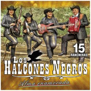 Los Halcones Negros