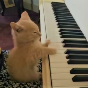 灰阶资料,灰阶最新歌曲,灰阶MV视频,灰阶音乐专辑,灰阶好听的歌