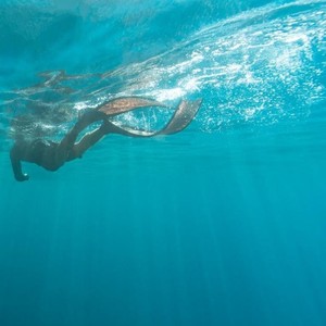 茹此资料,茹此最新歌曲,茹此MV视频,茹此音乐专辑,茹此好听的歌