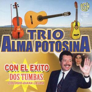 Trio Alma Potosina