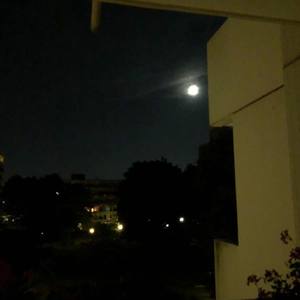 布朗资料,布朗最新歌曲,布朗MV视频,布朗音乐专辑,布朗好听的歌