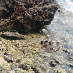 黄小乐资料,黄小乐最新歌曲,黄小乐MV视频,黄小乐音乐专辑,黄小乐好听的歌