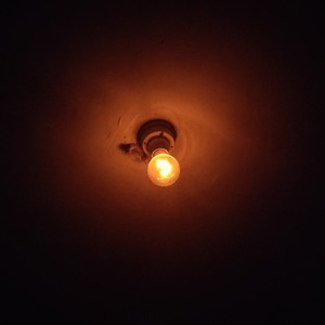 Wild Type资料,Wild Type最新歌曲,Wild TypeMV视频,Wild Type音乐专辑,Wild Type好听的歌