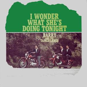 Barry & The Tamerlanes资料,Barry & The Tamerlanes最新歌曲,Barry & The TamerlanesMV视频,Barry & The Tamerlanes音乐专辑,Barry & The Tamerlanes好听的歌