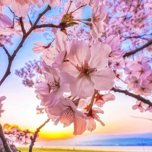 49天资料,49天最新歌曲,49天MV视频,49天音乐专辑,49天好听的歌