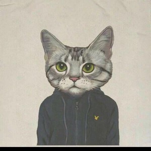 h4k资料,h4k最新歌曲,h4kMV视频,h4k音乐专辑,h4k好听的歌