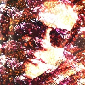 Suzanne Kraft资料,Suzanne Kraft最新歌曲,Suzanne KraftMV视频,Suzanne Kraft音乐专辑,Suzanne Kraft好听的歌