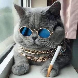 相见不如怀念资料,相见不如怀念最新歌曲,相见不如怀念MV视频,相见不如怀念音乐专辑,相见不如怀念好听的歌