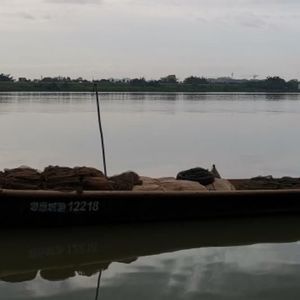 年桔资料,年桔最新歌曲,年桔MV视频,年桔音乐专辑,年桔好听的歌