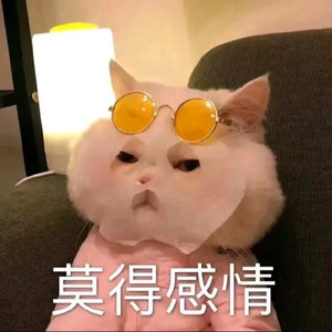 除西资料,除西最新歌曲,除西MV视频,除西音乐专辑,除西好听的歌