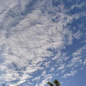 小鹏展翅吃资料,小鹏展翅吃最新歌曲,小鹏展翅吃MV视频,小鹏展翅吃音乐专辑,小鹏展翅吃好听的歌