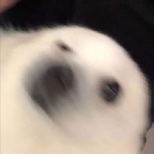 陈虹锦资料,陈虹锦最新歌曲,陈虹锦MV视频,陈虹锦音乐专辑,陈虹锦好听的歌