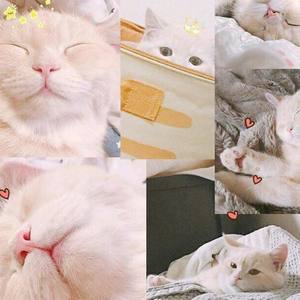 Yuk_iiimTae资料,Yuk_iiimTae最新歌曲,Yuk_iiimTaeMV视频,Yuk_iiimTae音乐专辑,Yuk_iiimTae好听的歌