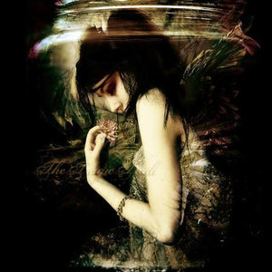 Бездомная песня