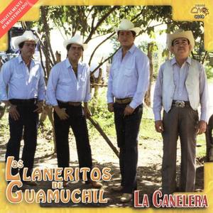 Los LLaneritos De Guamuchil