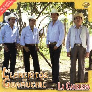 Los LLaneritos De Guamuchil资料,Los LLaneritos De Guamuchil最新歌曲,Los LLaneritos De GuamuchilMV视频,Los LLaneritos De Guamuchil音乐专辑,Los LLaneritos De Guamuchil好听的歌