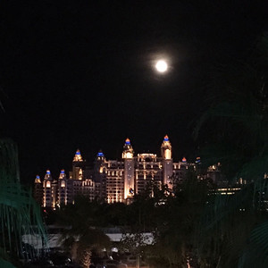 刘岚彬资料,刘岚彬最新歌曲,刘岚彬MV视频,刘岚彬音乐专辑,刘岚彬好听的歌