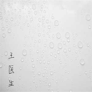 王医生资料,王医生最新歌曲,王医生MV视频,王医生音乐专辑,王医生好听的歌