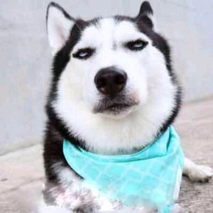 星星那个男孩资料,星星那个男孩最新歌曲,星星那个男孩MV视频,星星那个男孩音乐专辑,星星那个男孩好听的歌