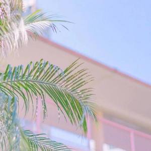 酷兒资料,酷兒最新歌曲,酷兒MV视频,酷兒音乐专辑,酷兒好听的歌