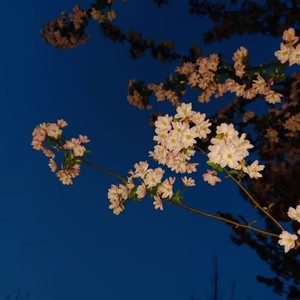 知恩资料,知恩最新歌曲,知恩MV视频,知恩音乐专辑,知恩好听的歌