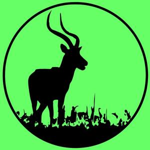 Forest W**d资料,Forest W**d最新歌曲,Forest W**dMV视频,Forest W**d音乐专辑,Forest W**d好听的歌