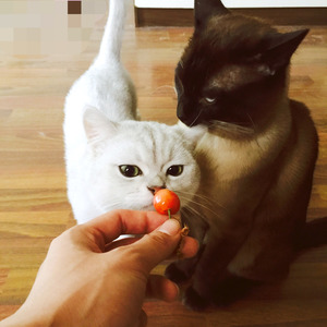 刘佳鹏资料,刘佳鹏最新歌曲,刘佳鹏MV视频,刘佳鹏音乐专辑,刘佳鹏好听的歌