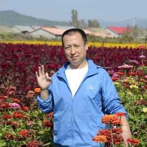 sax关资料,sax关最新歌曲,sax关MV视频,sax关音乐专辑,sax关好听的歌