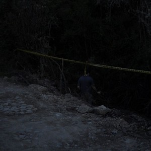 David Velez资料,David Velez最新歌曲,David VelezMV视频,David Velez音乐专辑,David Velez好听的歌